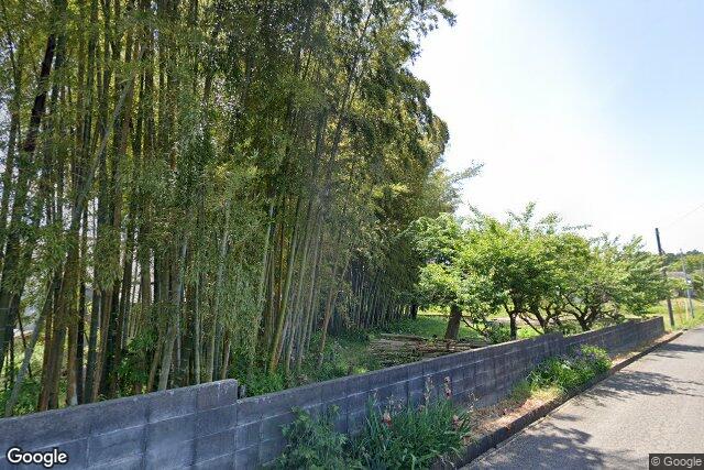株式会社森酒造店