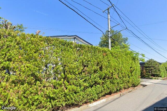 有限会社新藤酒造店